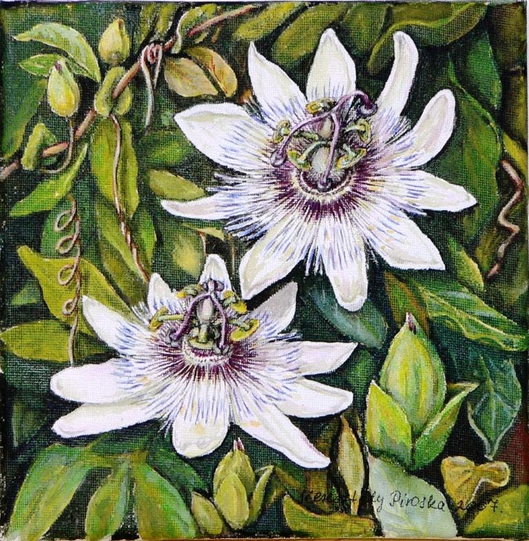 Golgota virág  2007