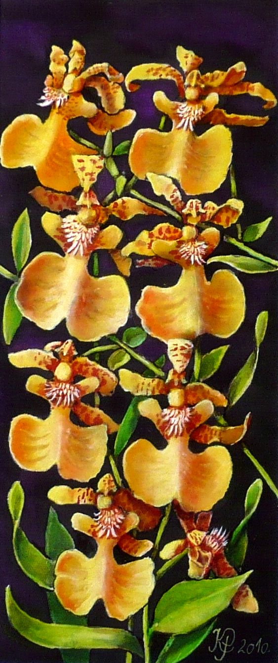 Orchideák 27. Oncidium 2010