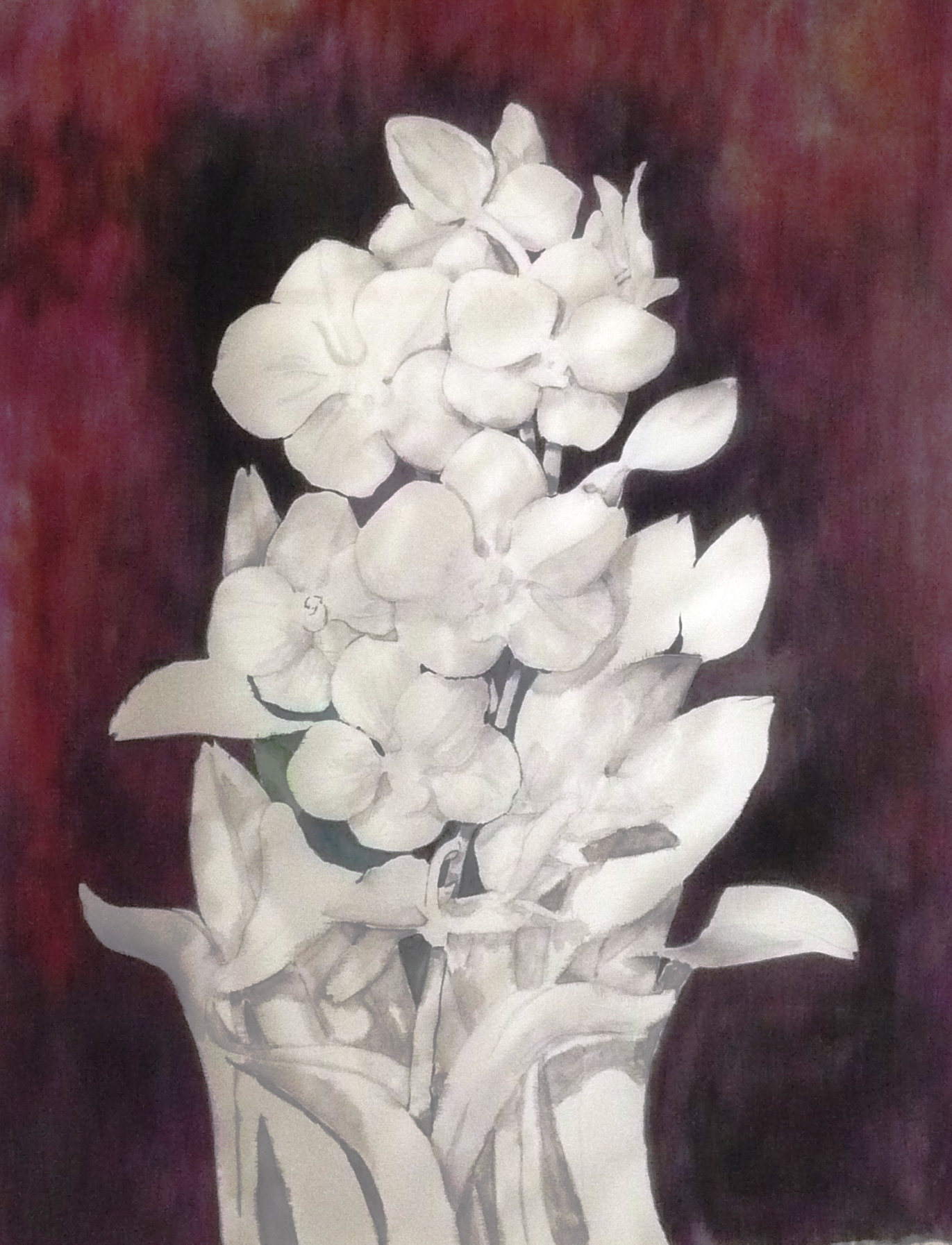 Orchideák:  árnéykok és a háttér megfestése