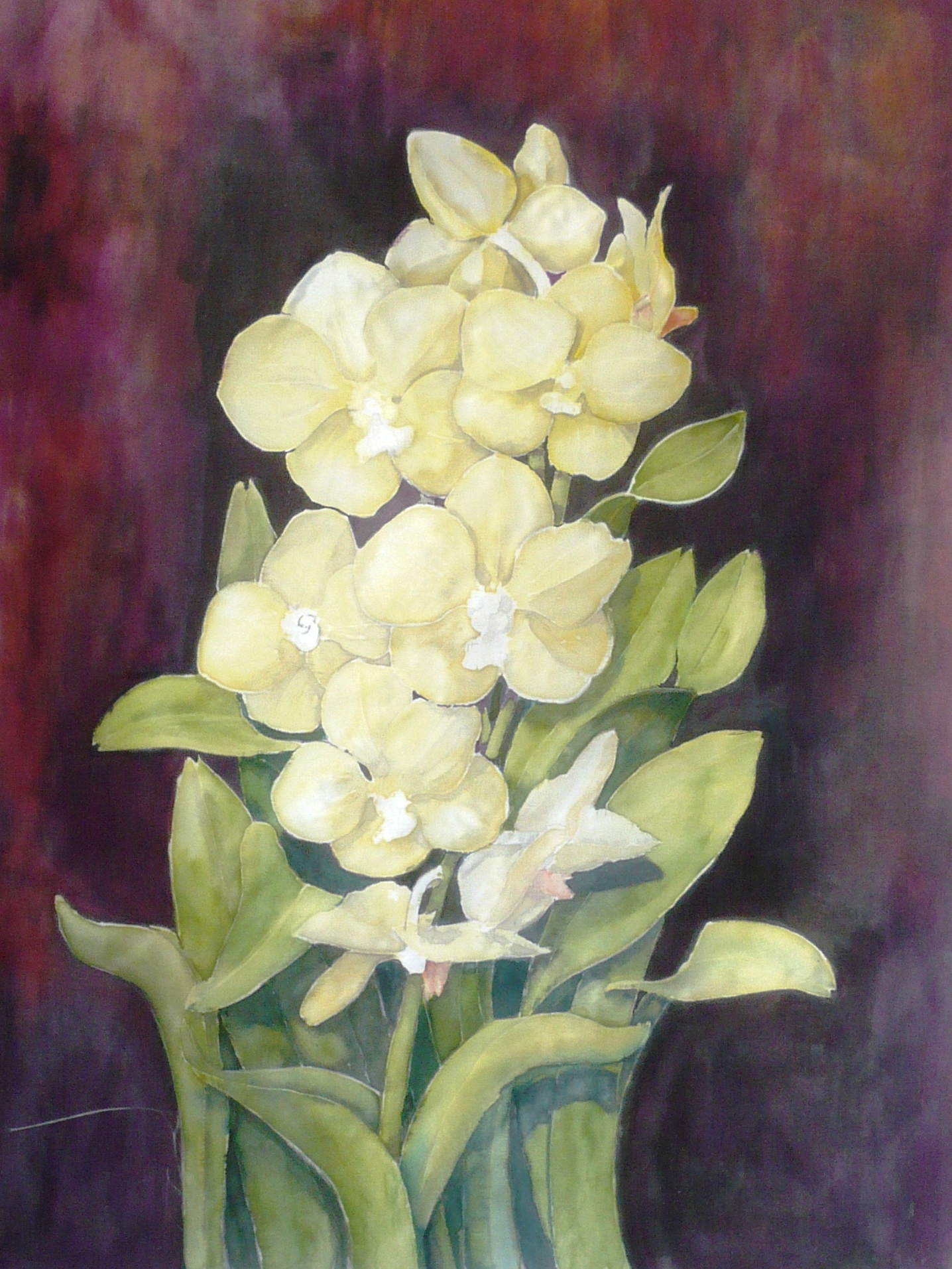 Orchideák: a színek felvitele