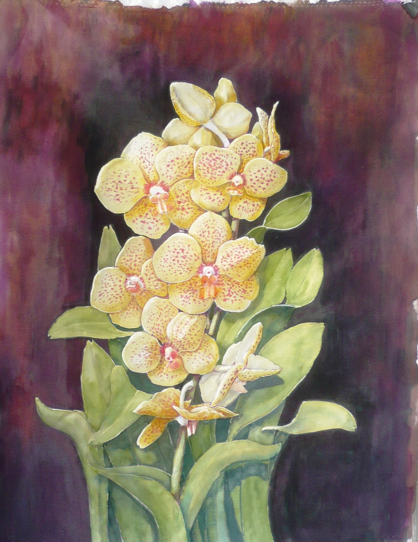 Orchideák: a virágok kidolgozása