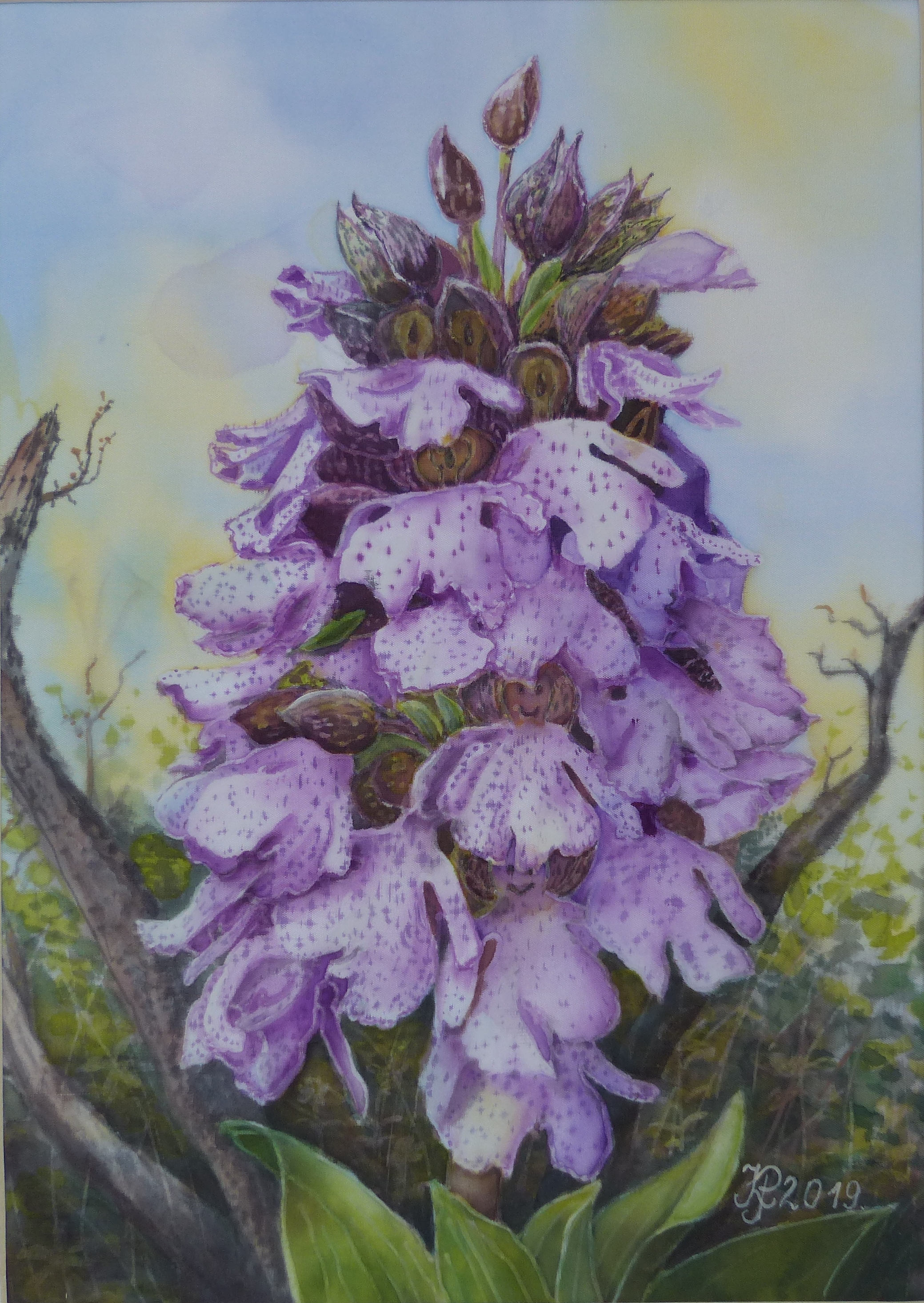A magyar orchidea, Kosbor. 31x22 cm, selyem