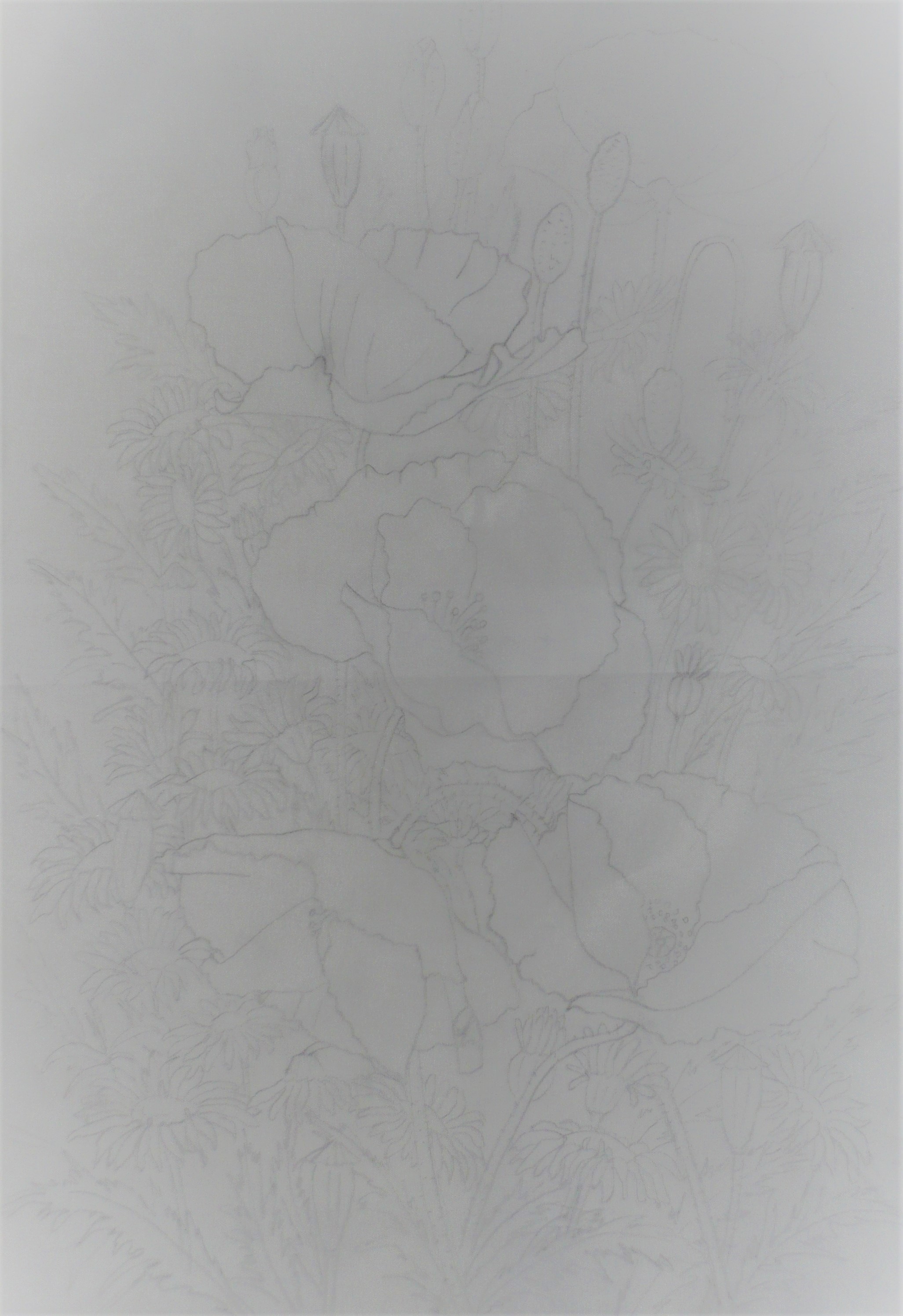 1 Ceruzarajz a selymen