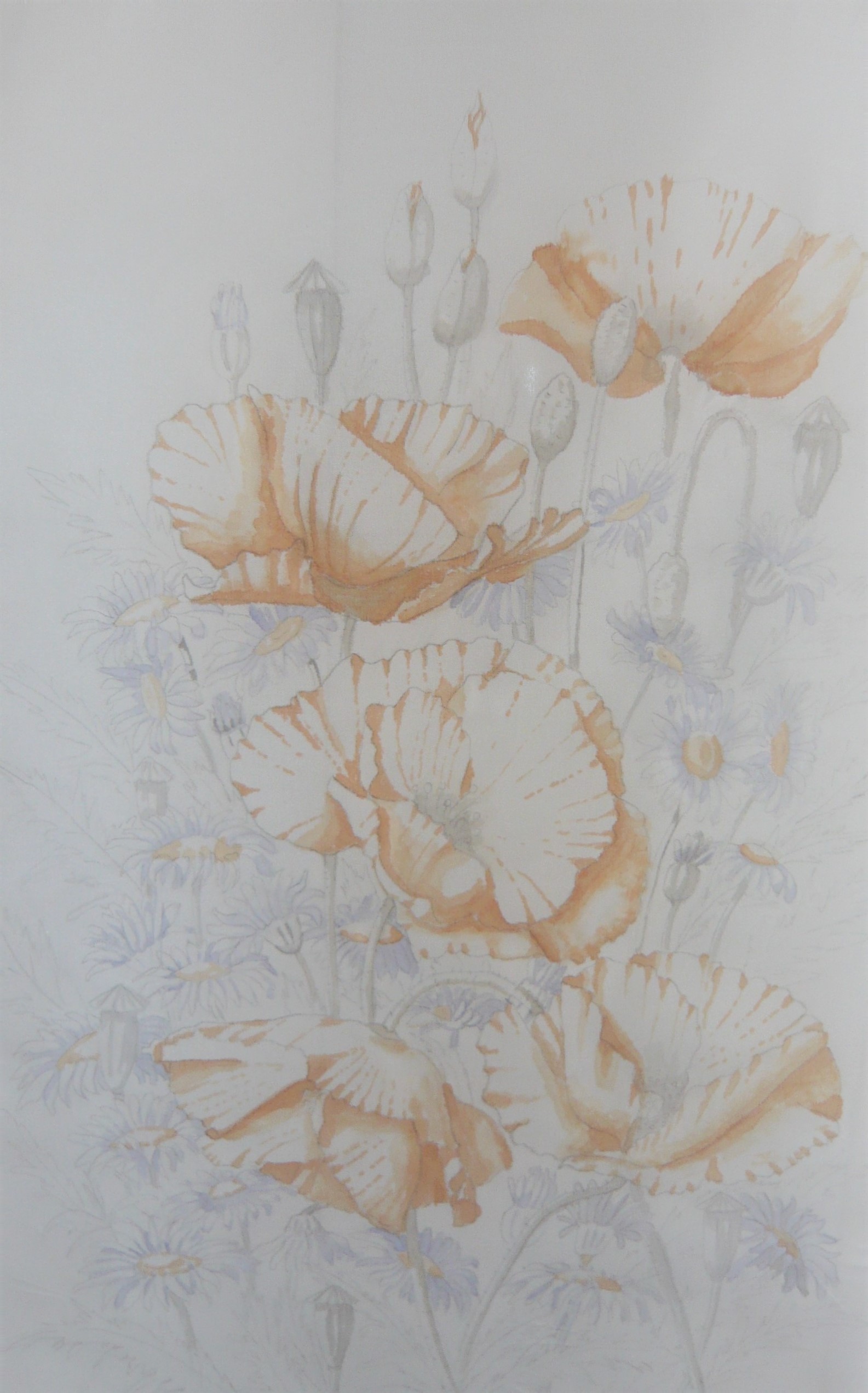 2 A virágok árnyékolása