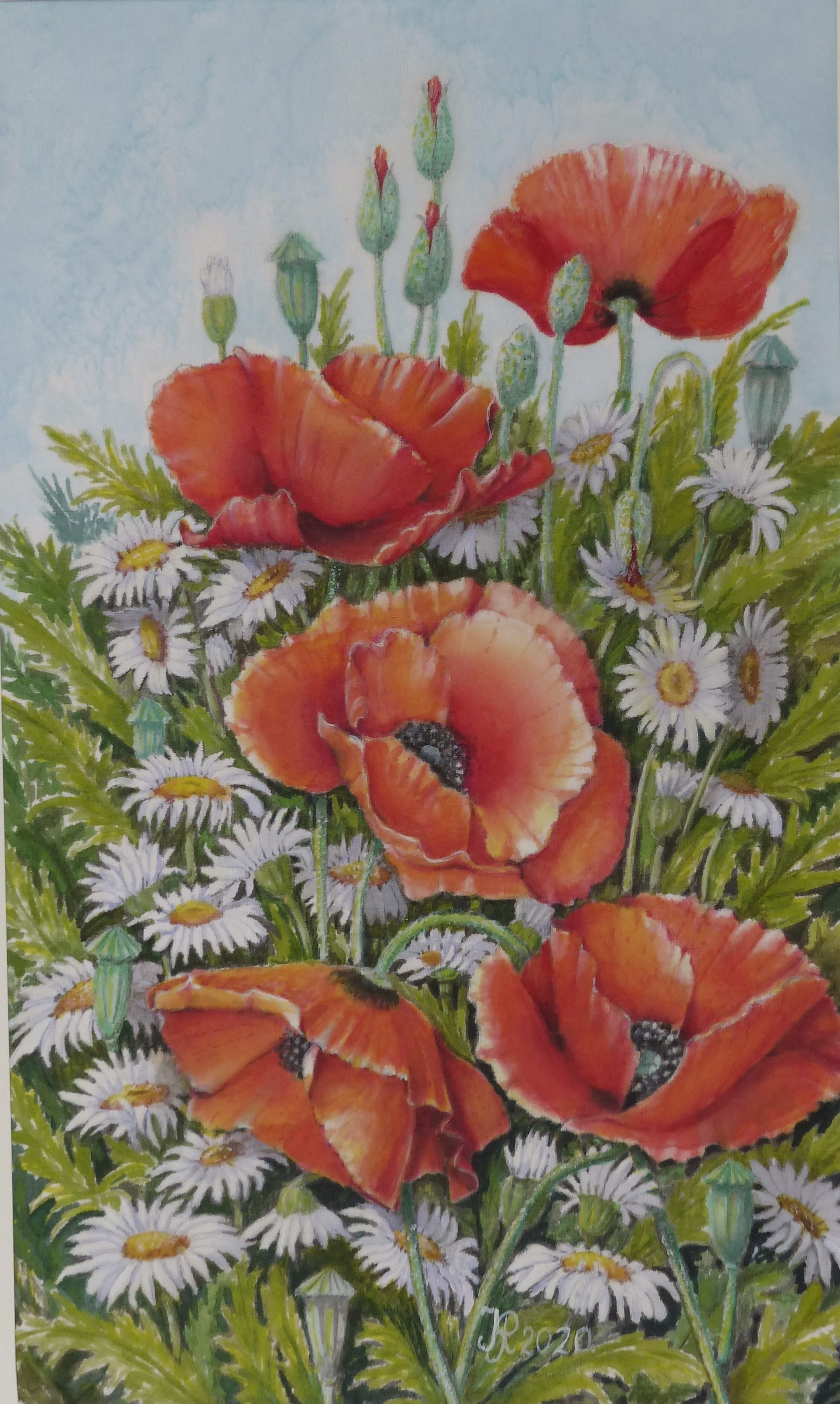 Pipacsok kamillával  45x30 cm