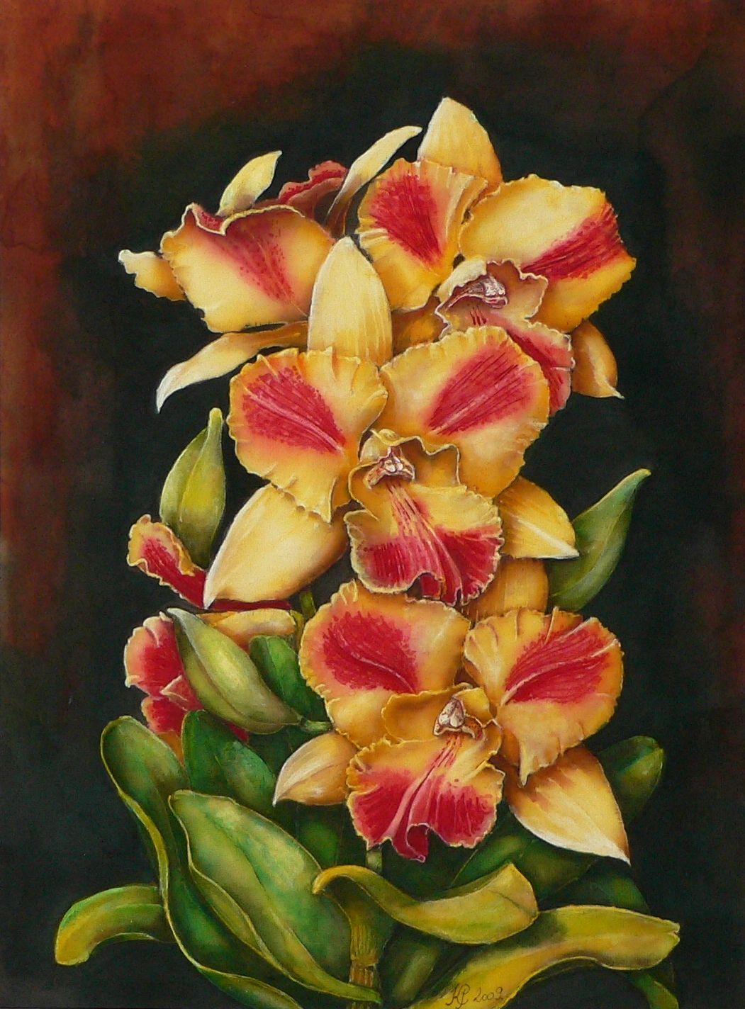 Orchideák 13. Cattleya burana  2009