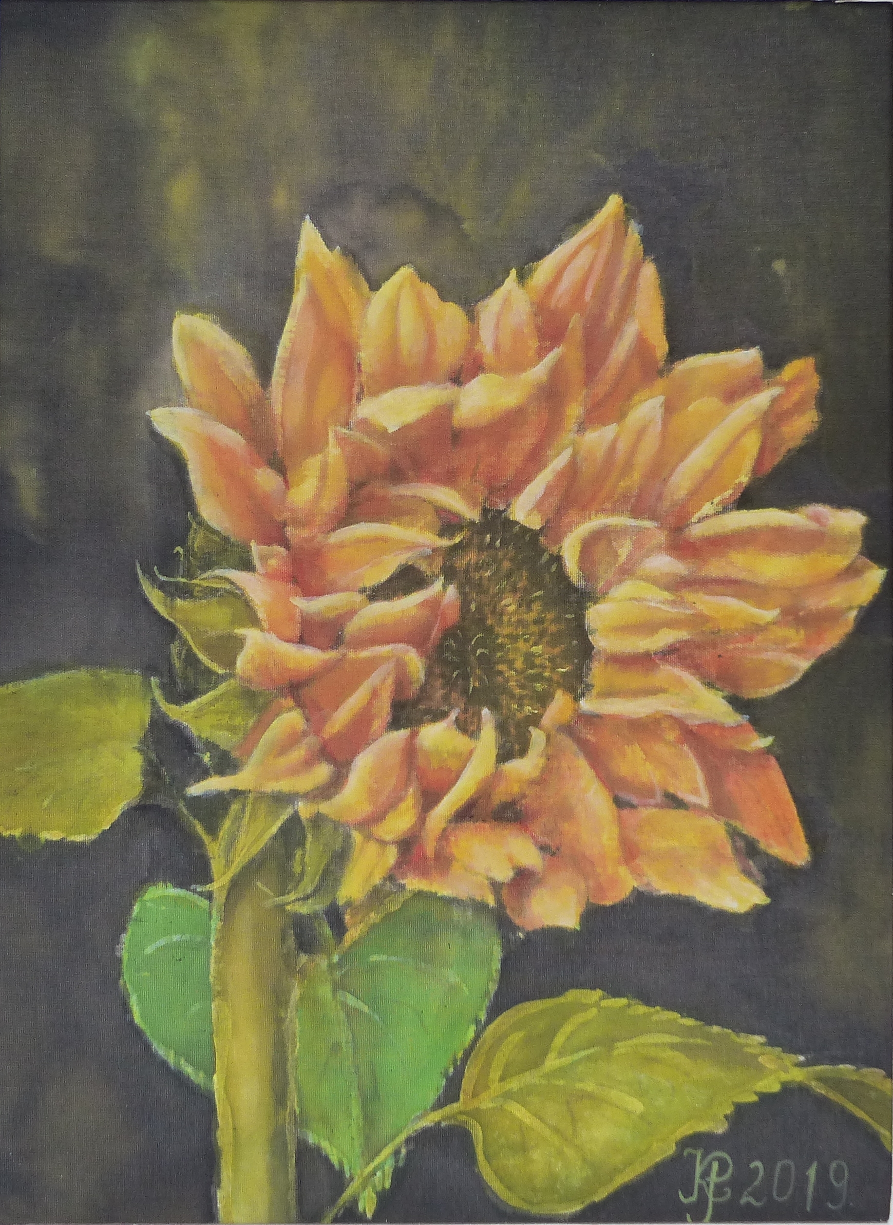 Kibontakozóban, selyem, 22x16 cm